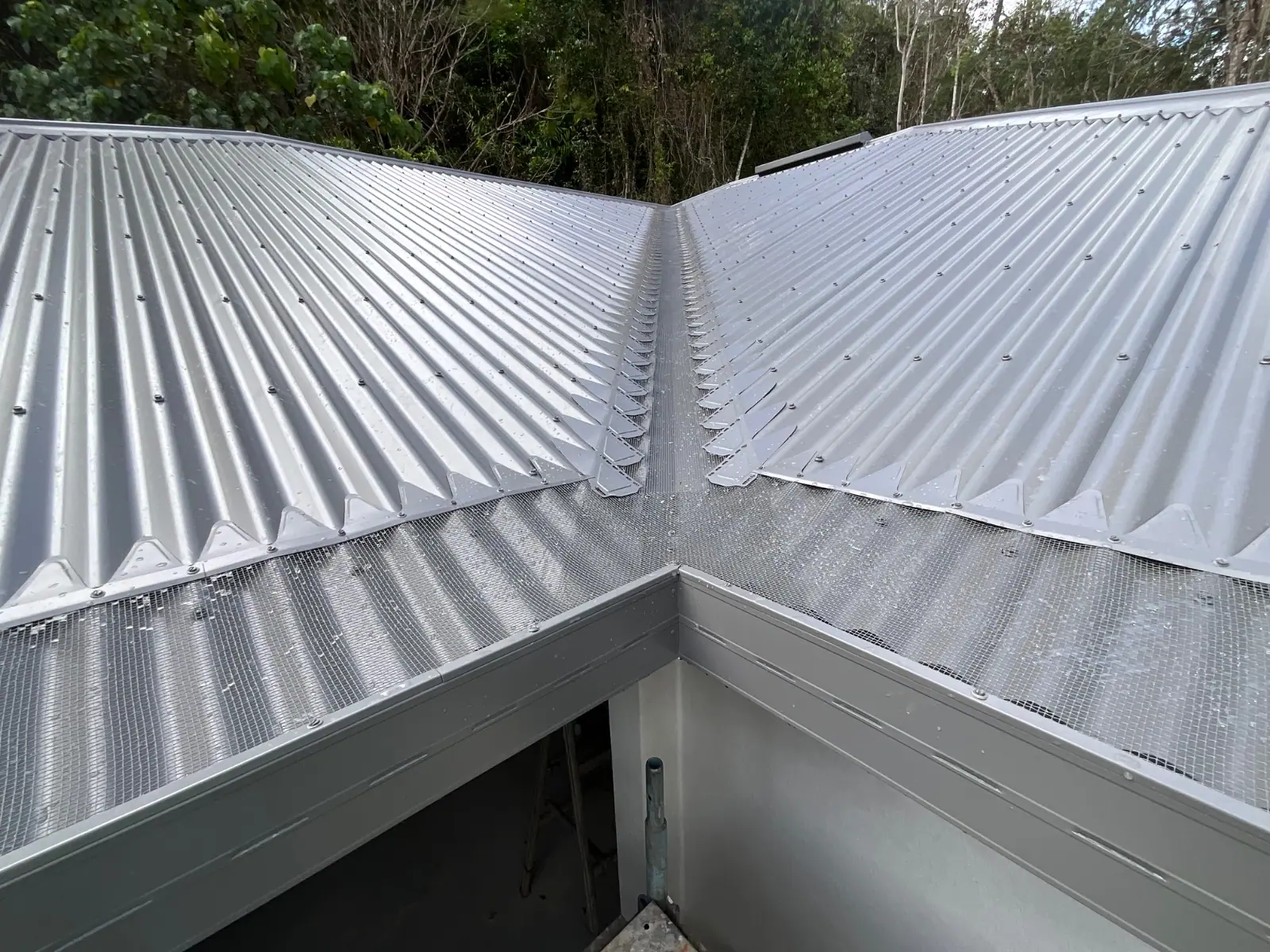 Gutter guard